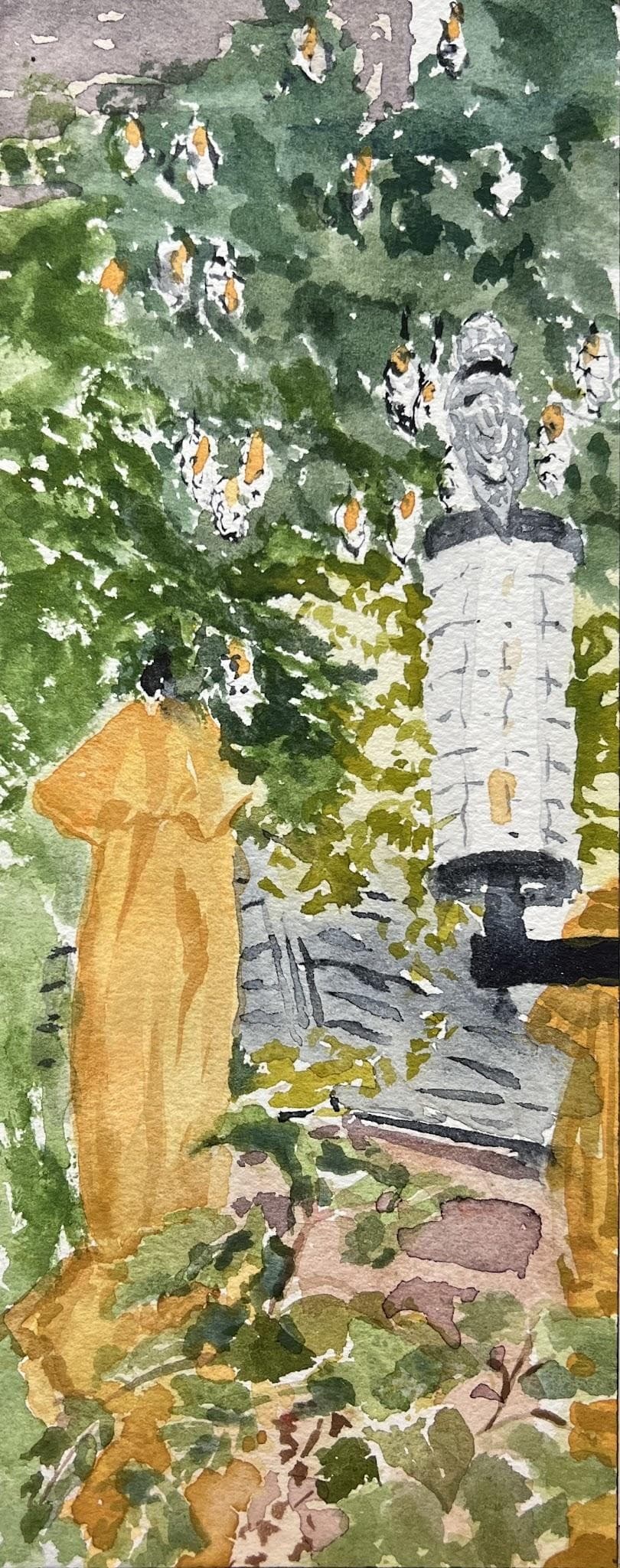 Evening at the Terrace