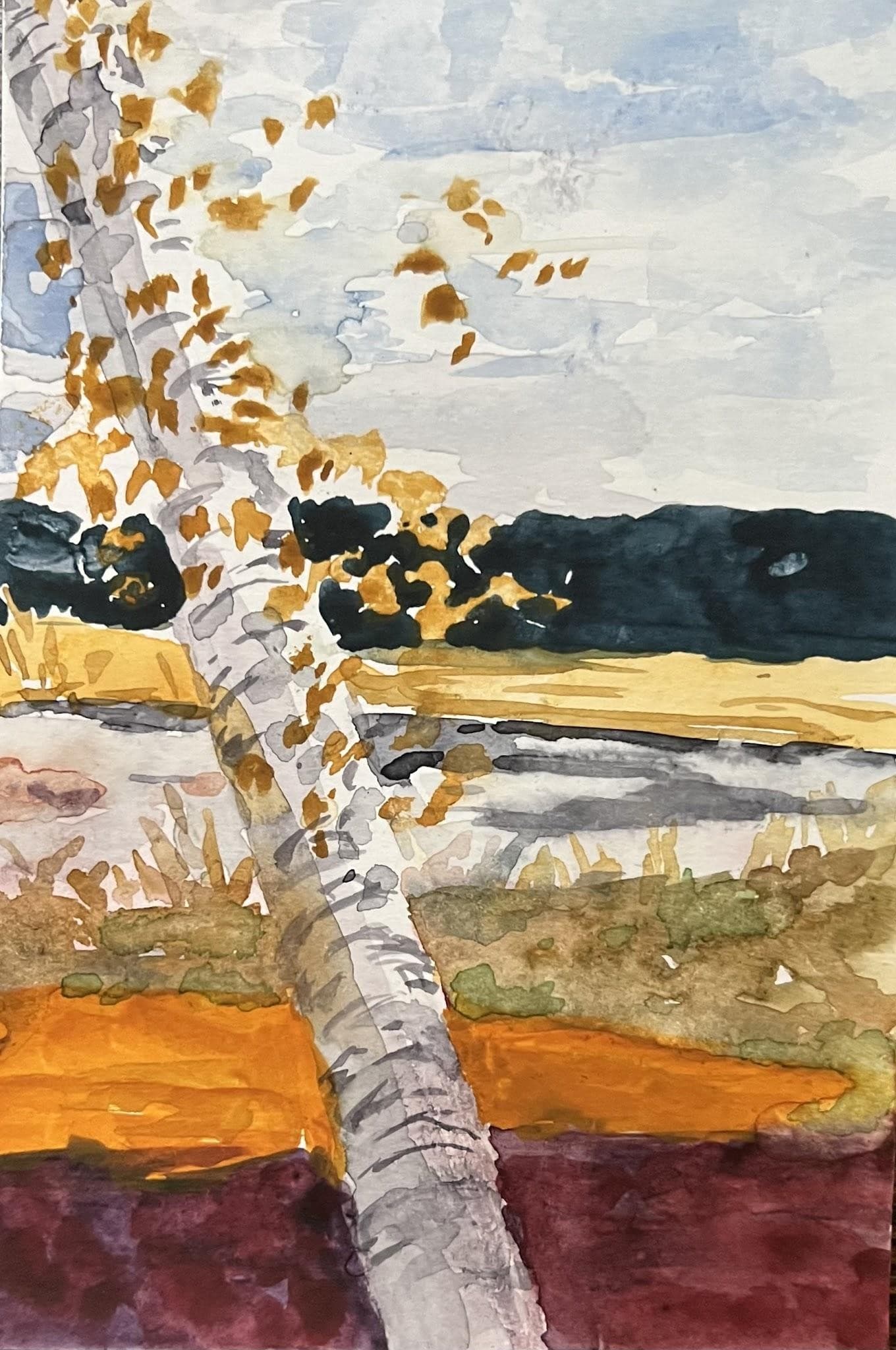 Lesley's Tree