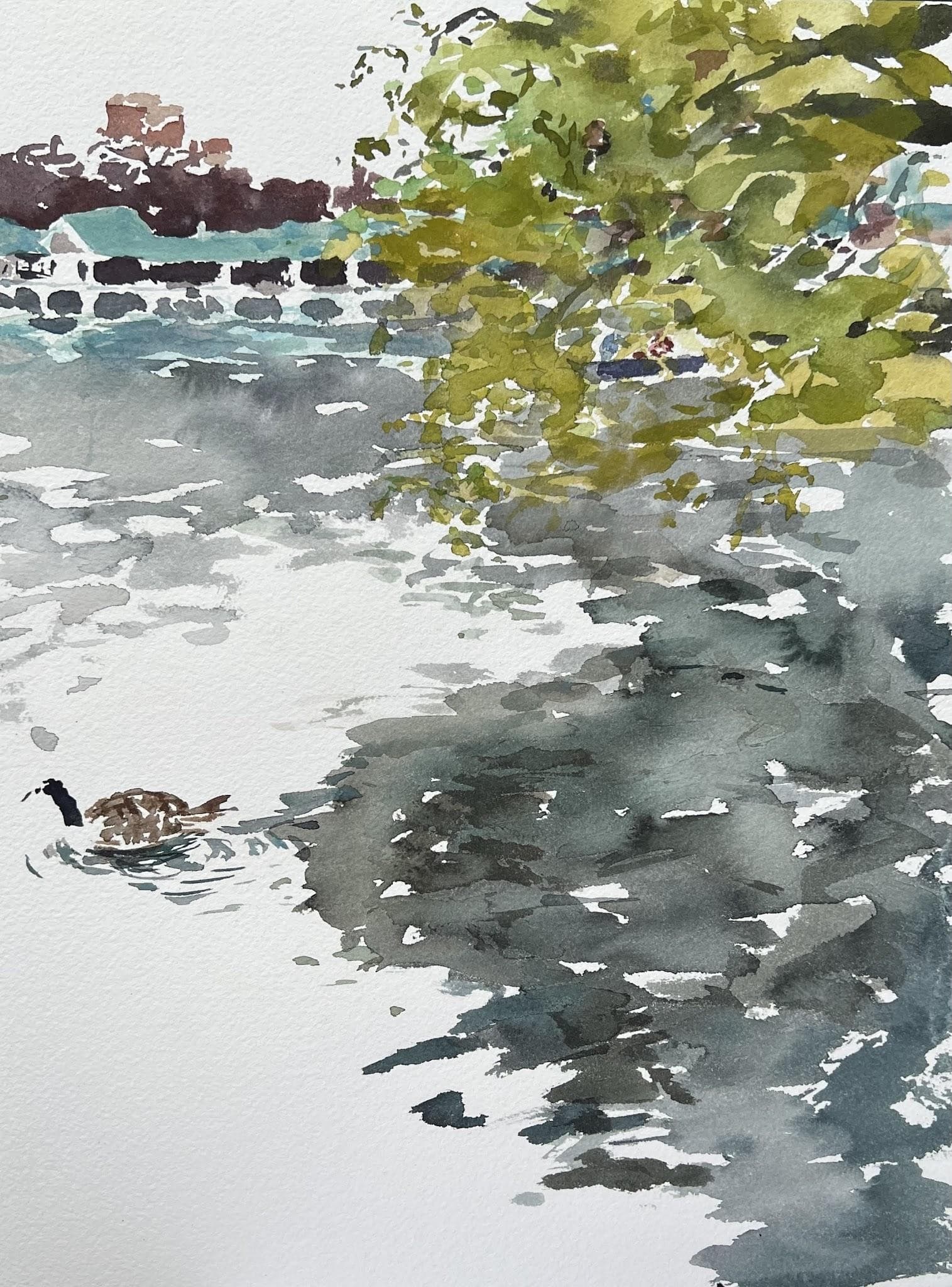 Ripples