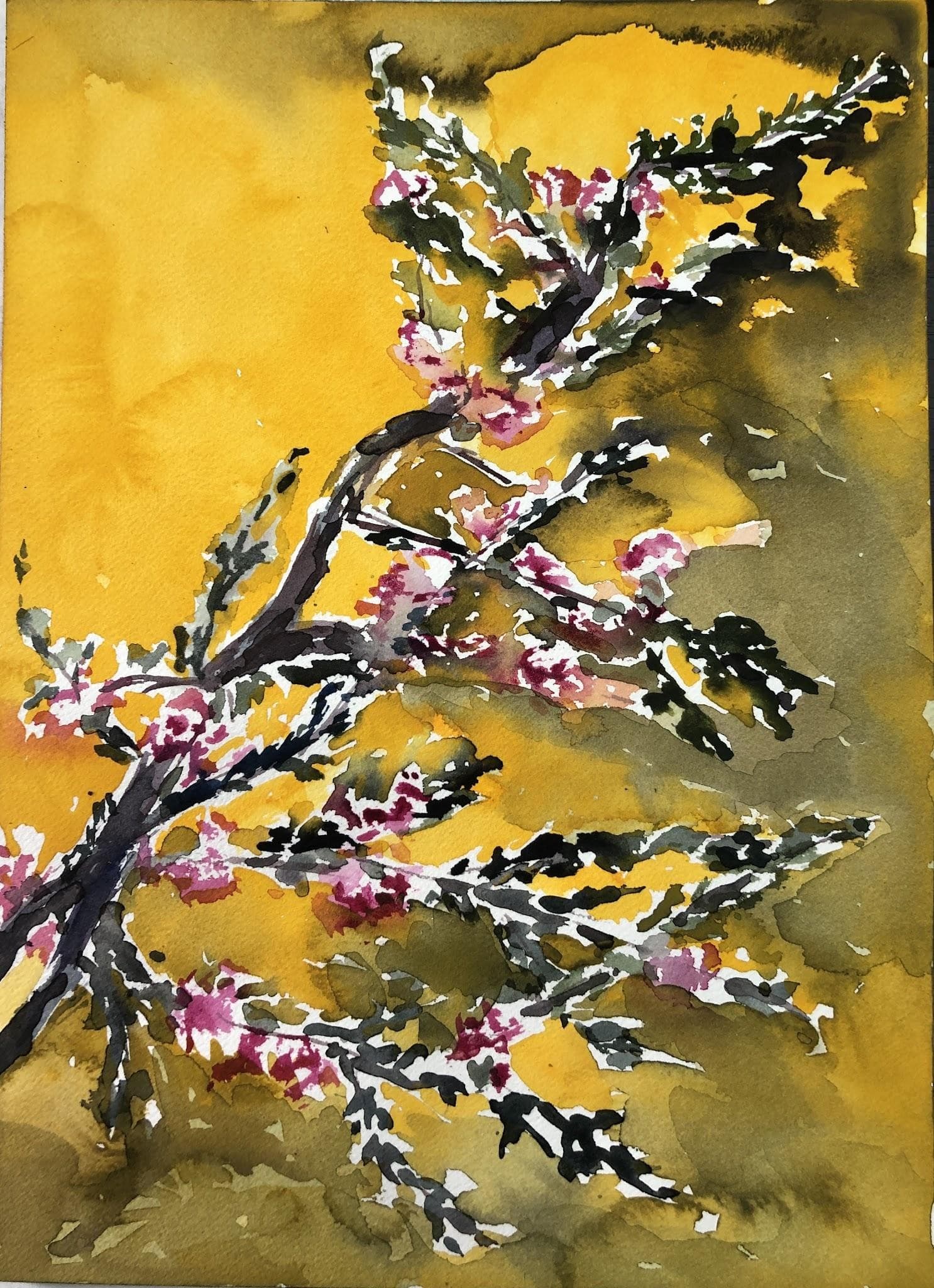Spray of Plum